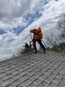 roof moss removal Hillsboro Oregon