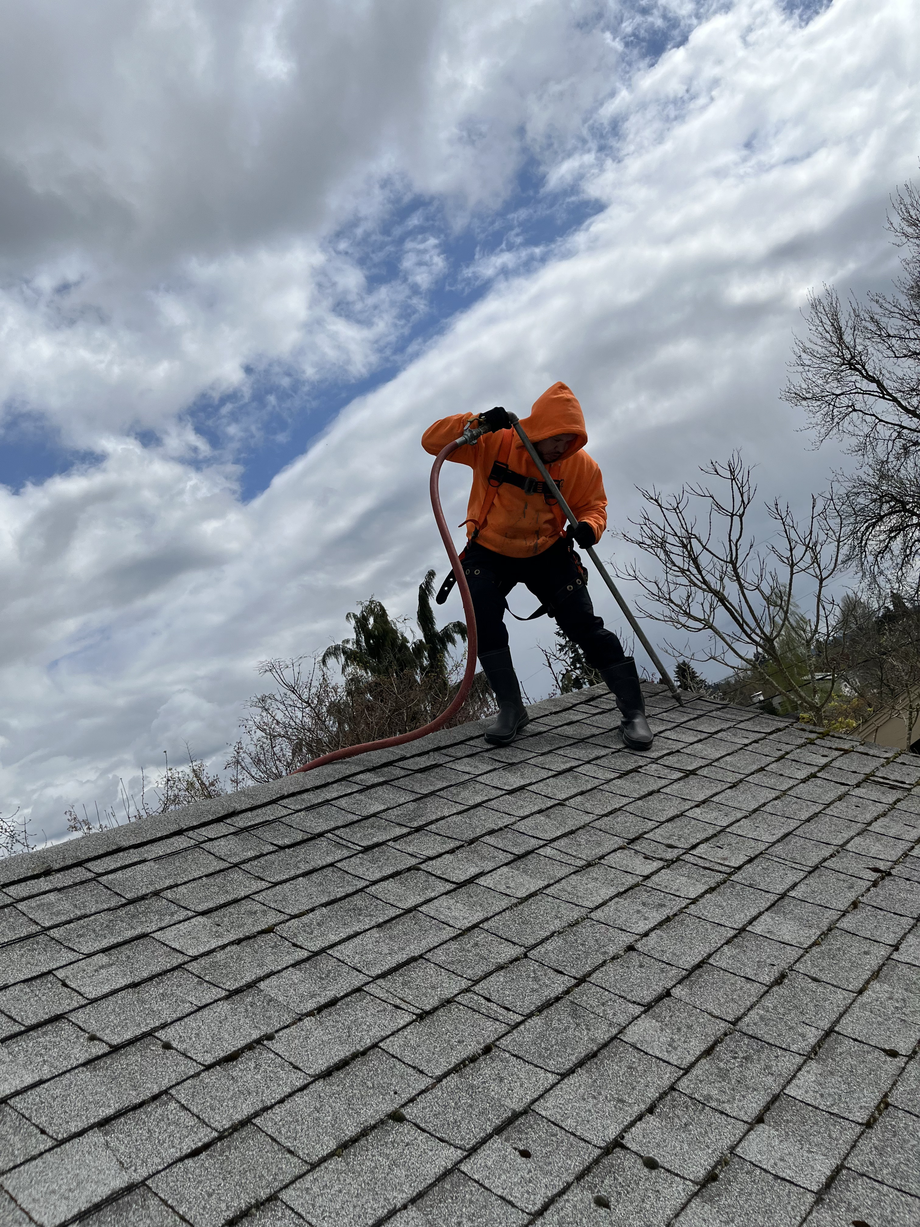 roof moss removal Hillsboro Oregon