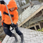 roof moss removal near me