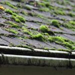 Roof moss removal Hillsboro Oregon