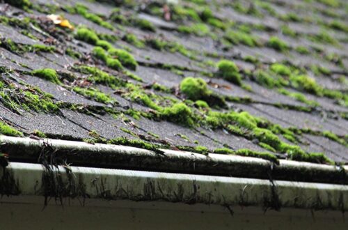Roof moss removal Hillsboro Oregon